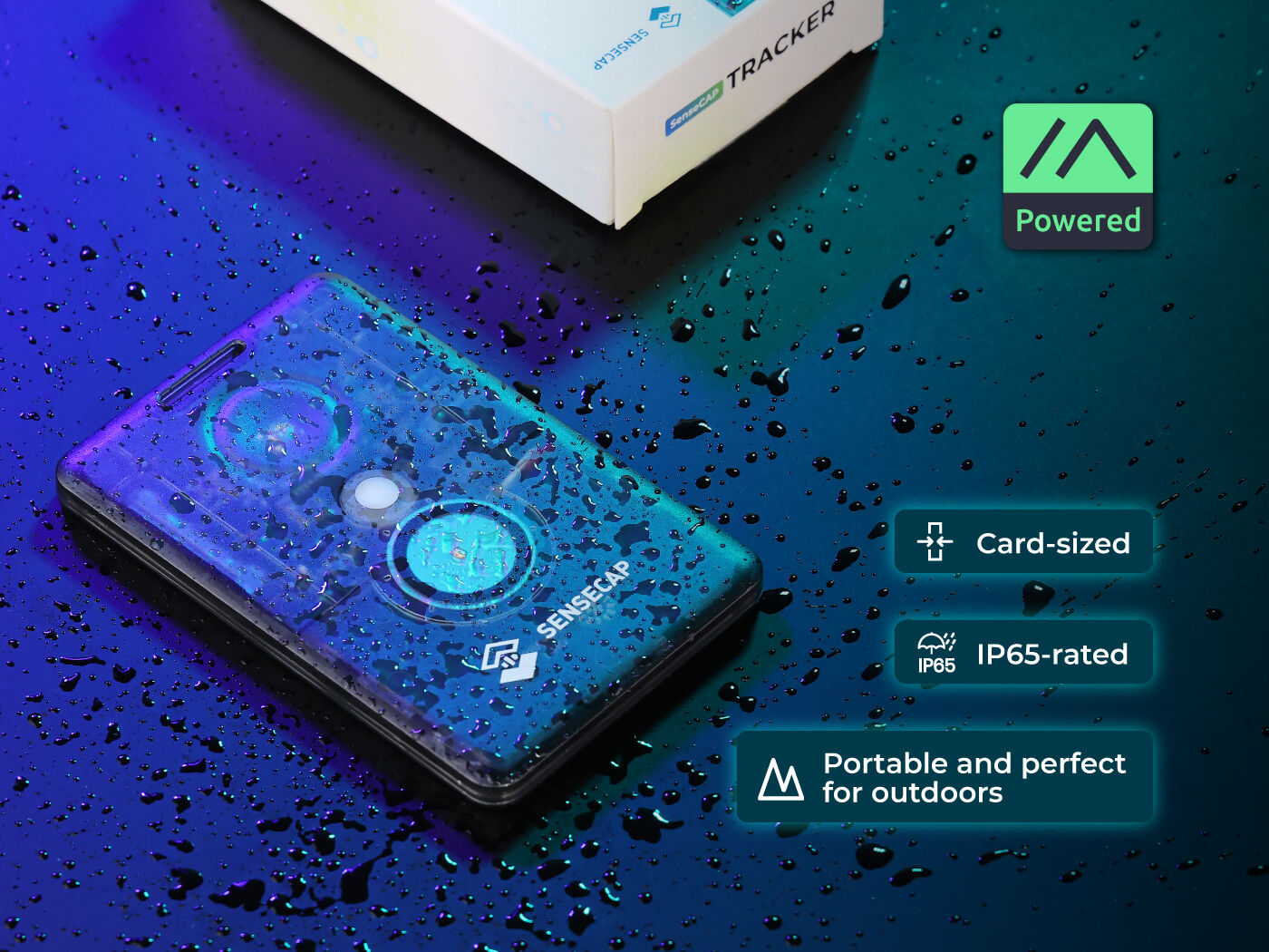 SenseCAP Card Tracker T1000-E